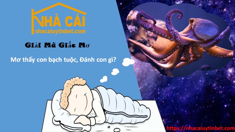 Mơ thấy con bạch tuộc đánh con gì trúng lớn?